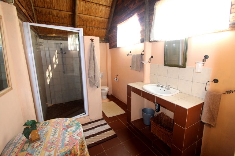 Room 1 Shower