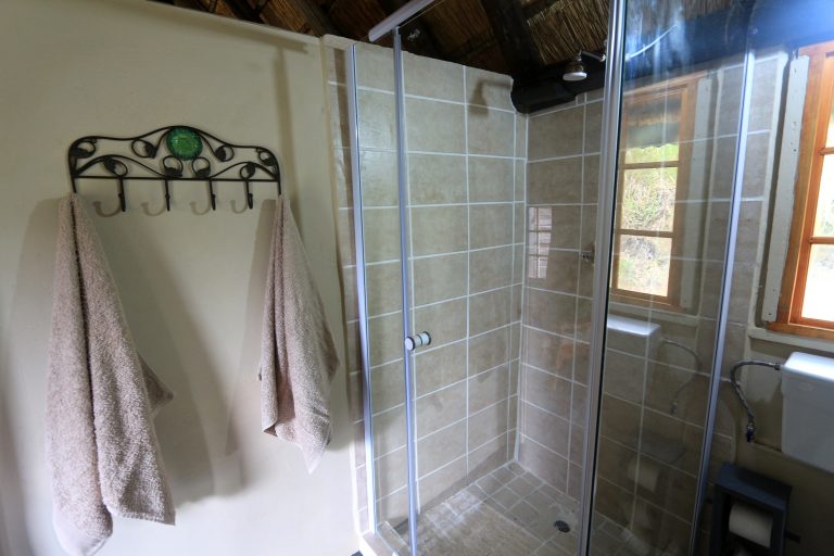 Room 1 shower